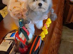 -木兰逸•泰式按摩•头疗•SPA(车公庙店)