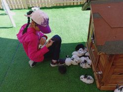 点击看大图 -萌宠亲子动物乐园(槐房万达店)