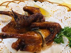 -一煲鸽