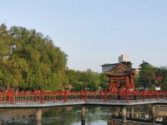 -掌上鲜(南顺城街店)