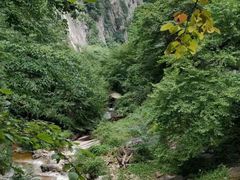 -青峰峡国家森林公园