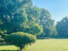 -艾溪湖湿地公园