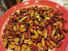 -破瓦寒窑·地摊烤羊排