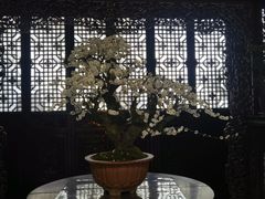 -乡亲鹅肉城(吴江店)