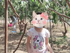 -任达丞国农庄(任达山庄店)