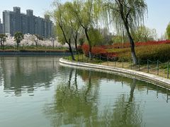 -大宁公园