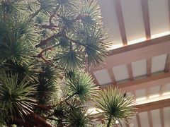 -泰钰丰烤鸭.天津菜(开发区店)