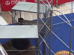 -万达广场(泰安泰山店)