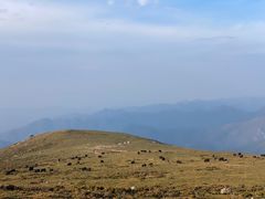 -灵山