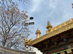 -护国法轮寺