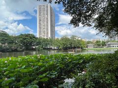 -荔湾湖公园