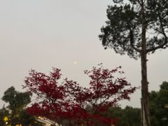 -杭州西湖柳莺里酒店·闻莺厅