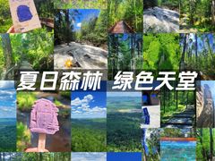-汤旺河林海奇石景区