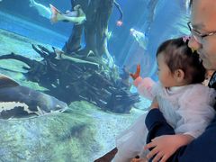 -华夏文旅西安度假区