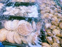 -青石桥市场北1-27号