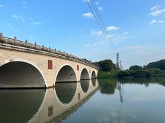 -大湾区中央湿地公园