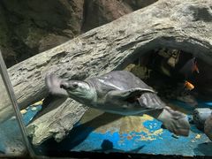 -苏州海洋馆