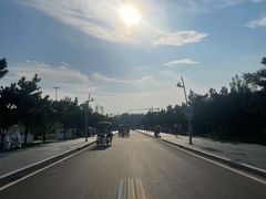 -日照海滨国家森林公园