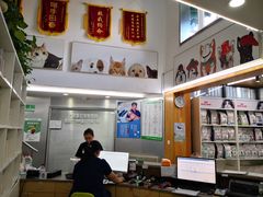 -爱侣宠医·鹦鹉专科·小型哺乳类·异宠专科(灵石路店)