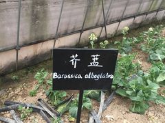 -裸心谷·裸心味餐厅