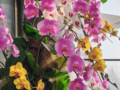 -北京植物园-展览温室