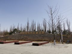 -永定河休闲森林公园