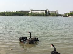 -江南大学(蠡湖校区)
