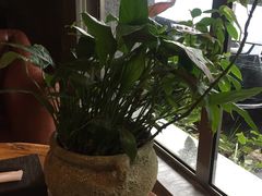 -新盈光·旗舰店(海曙苍松路店)