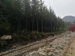 -大连天门山国家森林公园