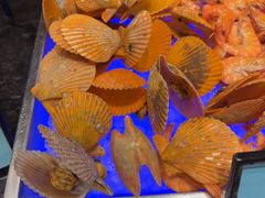 -亚龙湾希尔顿自助餐厅·海鲜·烧烤·沙滩BBQ·现场乐队