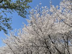 -白塘生态植物园