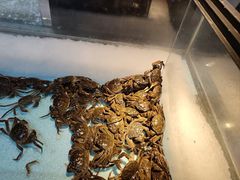-圣罗巴海鲜烤肉自助(佳兆业店)