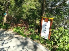 -羚羊峡古栈道森林公园