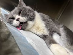 -达爱动物医院·犬猫分区·CT·复杂眼科(远洋山水分院)