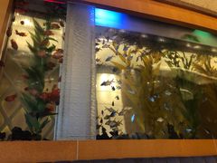 -Acqua海蓝意大利餐厅