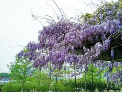 -白塘生态植物园