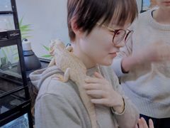 -藦茜花园宠物主题亲子互动体验馆(国顺东路店)