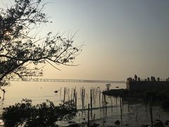 -宝安西湾红树林湿地公园