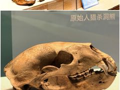 -珠海市博物馆
