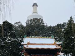 -仿膳饭庄·宫廷风味(百年传承店)