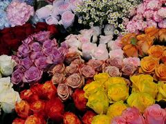 -爱尚幸福鲜花(上地实体店)