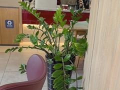 -COSTA COFFEE(哈尔滨凯德学府店)