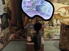 -陕西自然博物馆