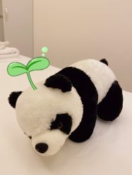 -美丽田园Beauty Farm