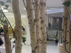 -极简口腔(总院)