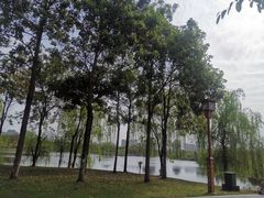 -眉山湿地公园(东坡区)