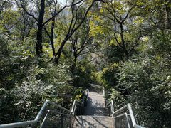 -佛山华盖山公园