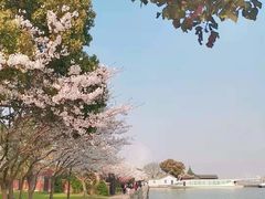 -无锡蠡湖国家湿地公园-蠡园