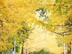 -四川大学(华西校区)