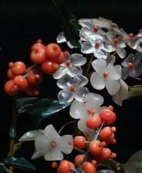 -花轿喜屋婚礼策划